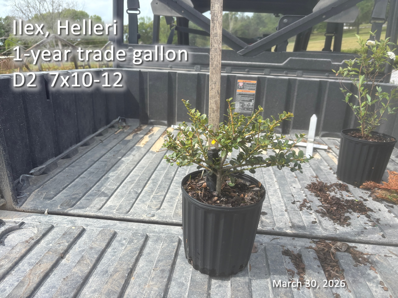 gallery/hell1yt d2 mar30.jpg